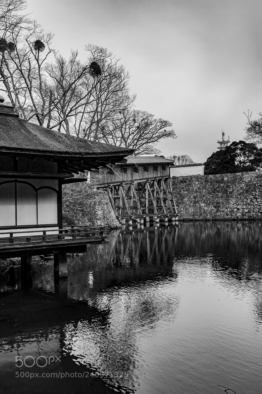Canon EOS 60D sample photo. Wakayama park bw photography