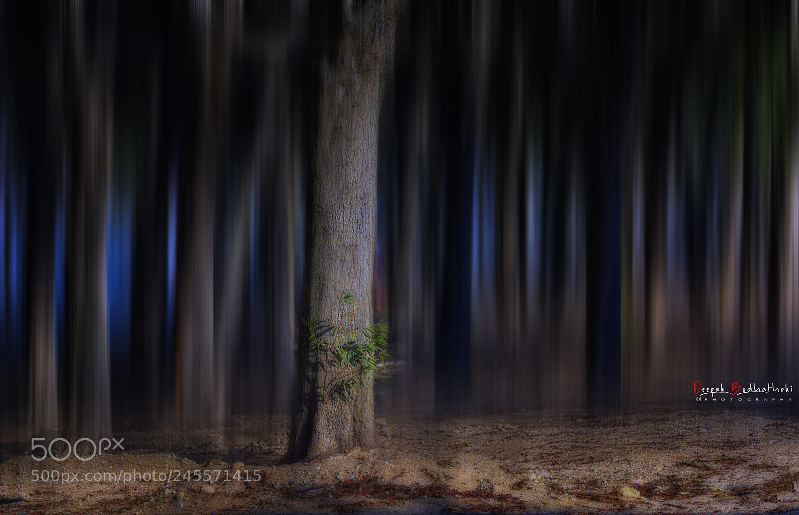 Nikon D7100 sample photo. Dreamy photography