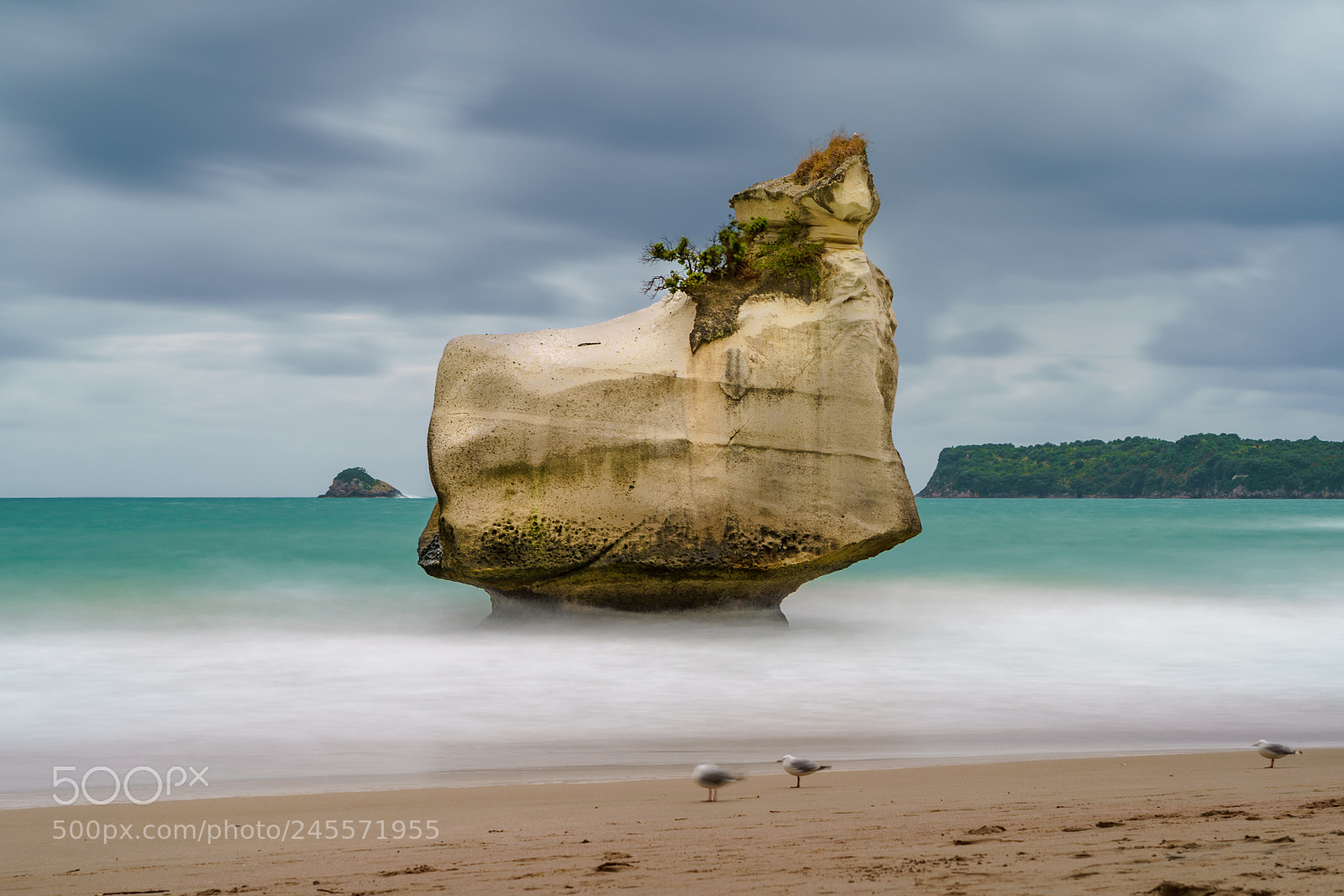 Sony a9 sample photo. Smiling sphinx rock photography