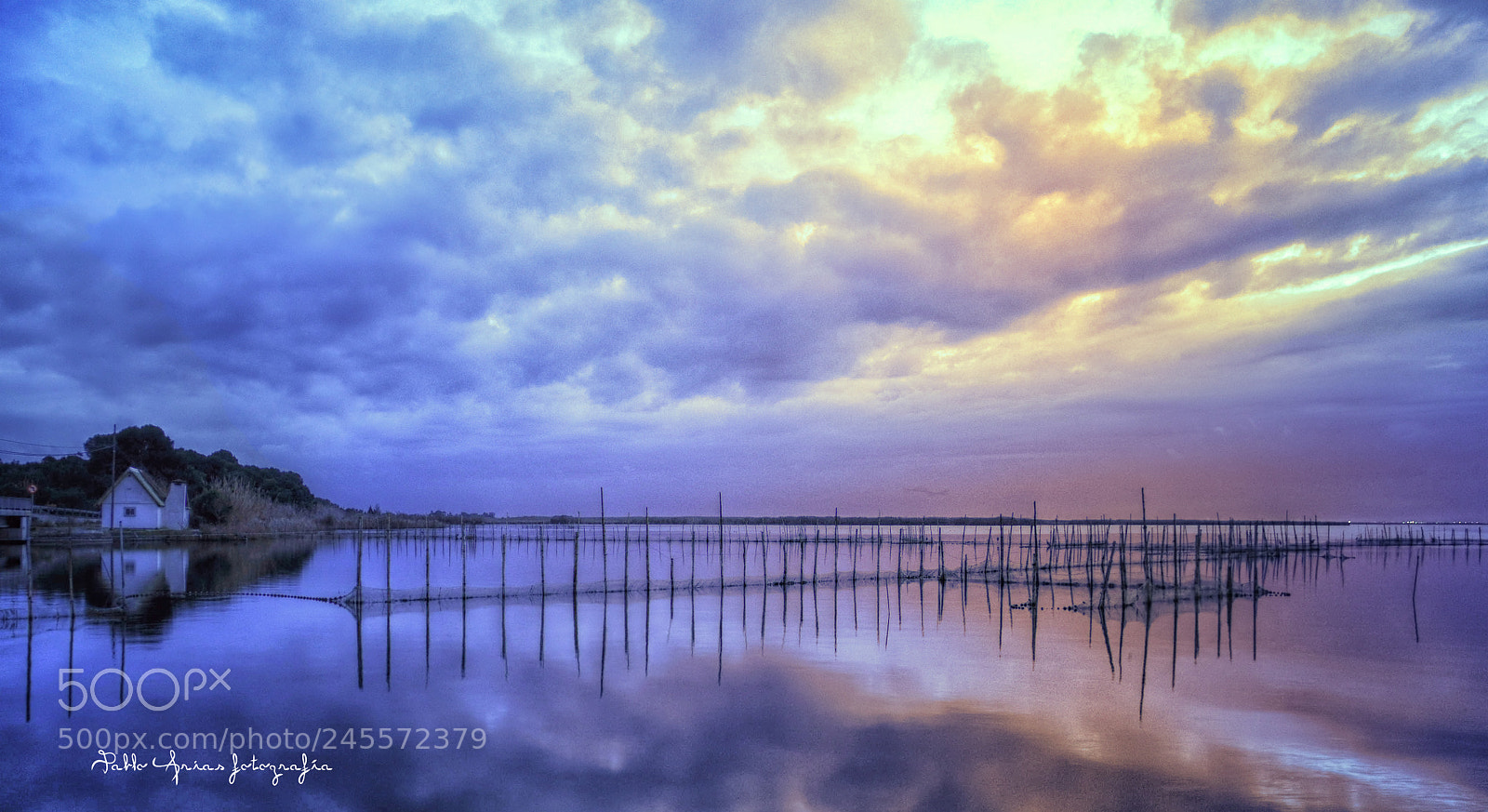 Nikon D300 sample photo. La albufera valenciana photography