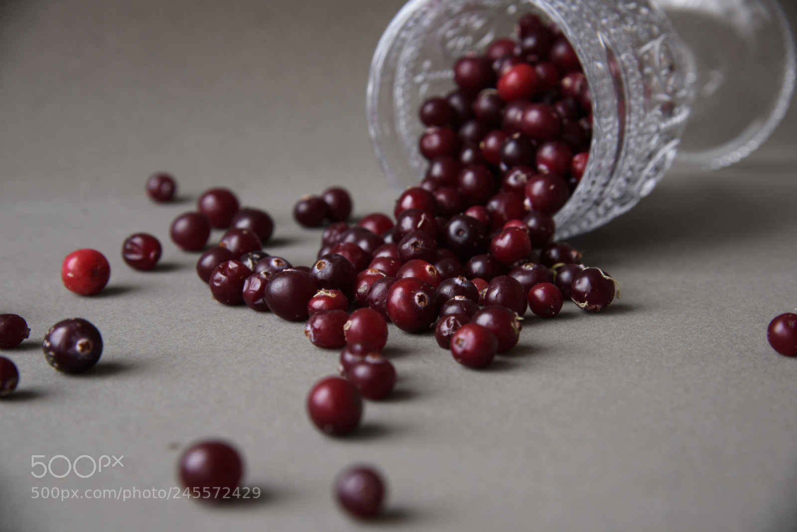 Nikon D810 sample photo. Cranberries photography