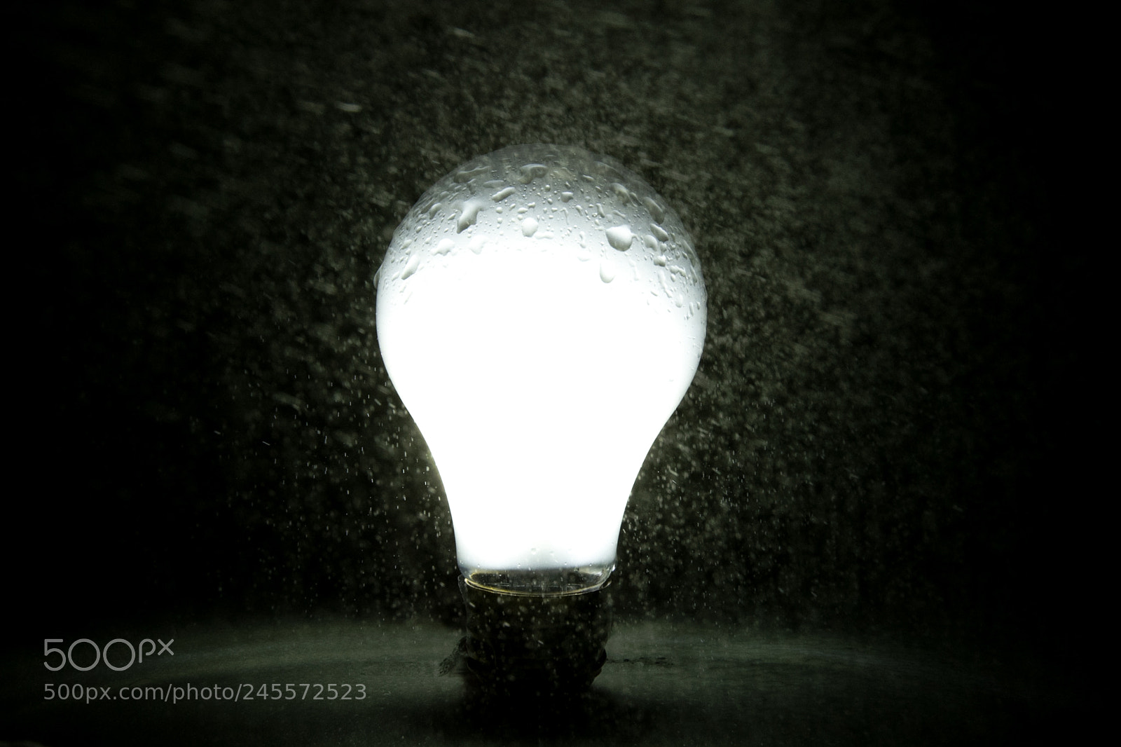 Nikon D810 sample photo. Light bulb photography