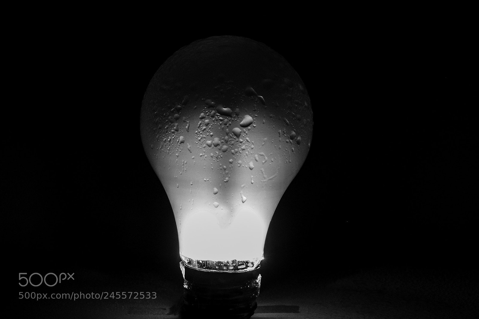 Nikon D810 sample photo. Light bulb photography