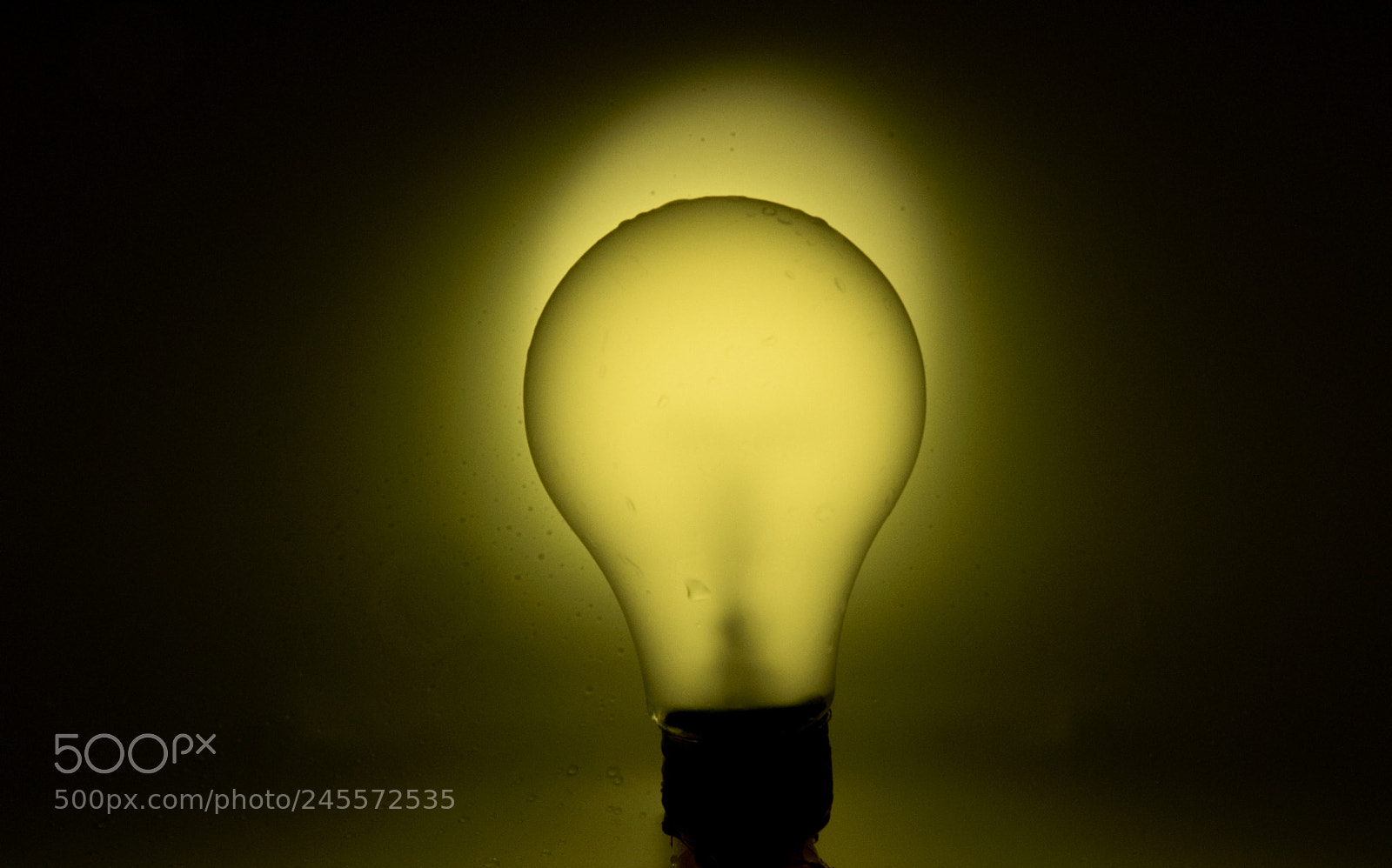 Nikon D810 sample photo. Light bulb photography