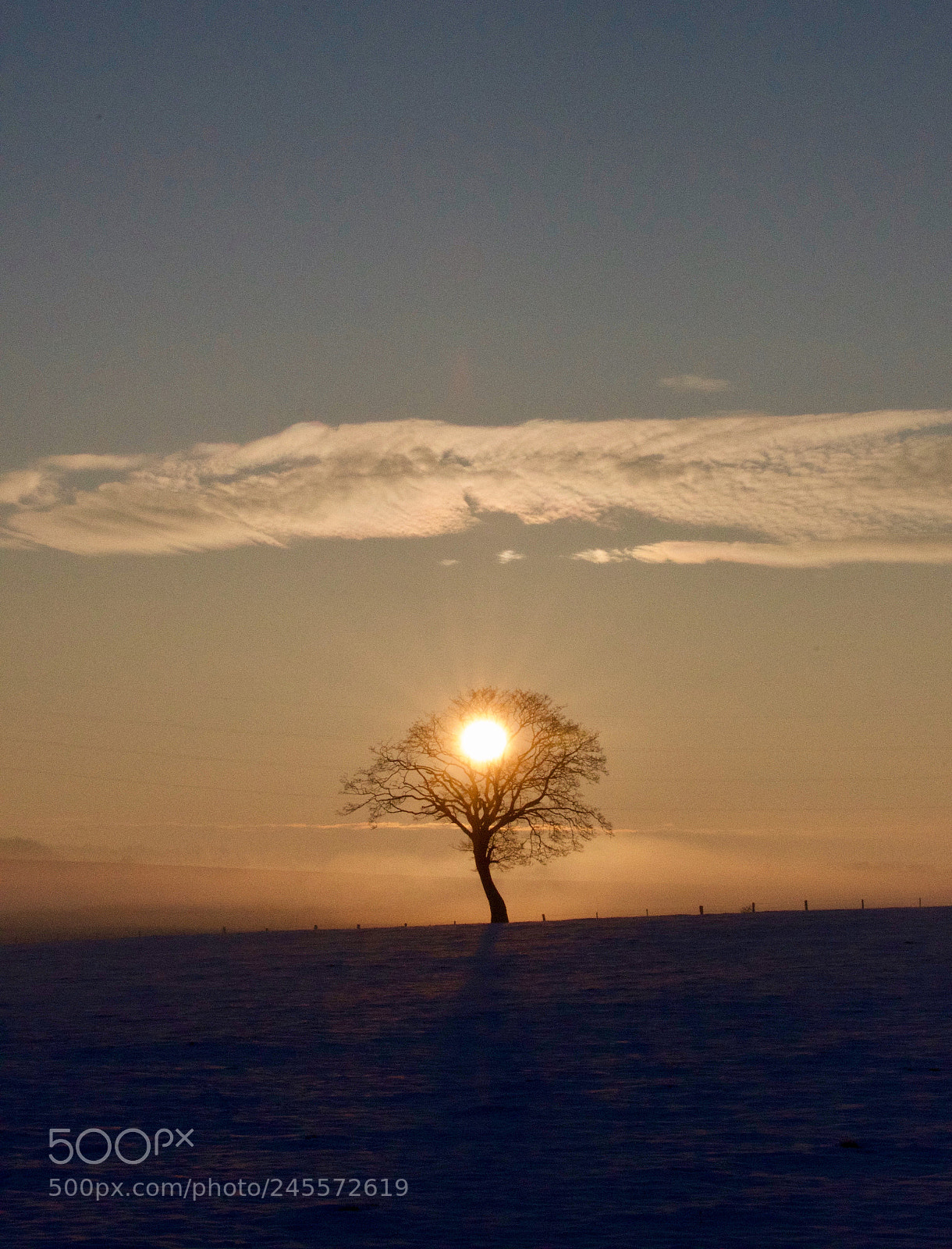 Nikon D500 sample photo. Untitled photography