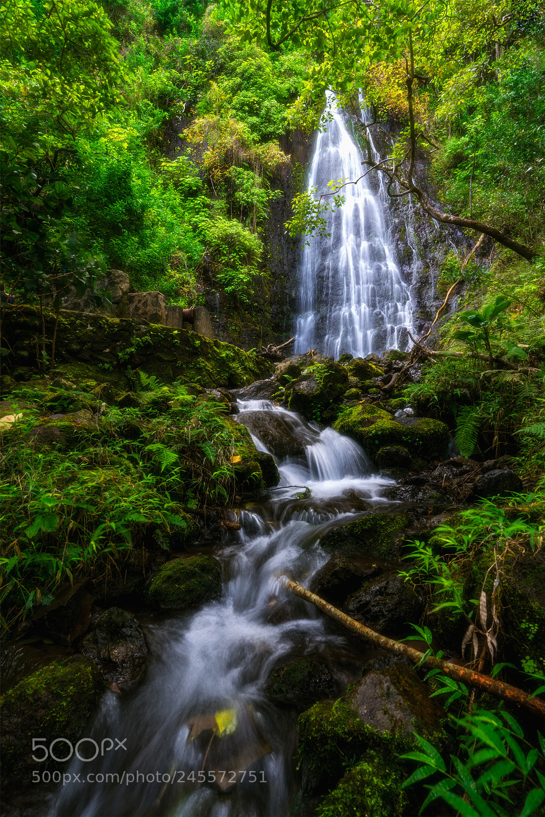 Sony a7R III sample photo. Hamama falls photography