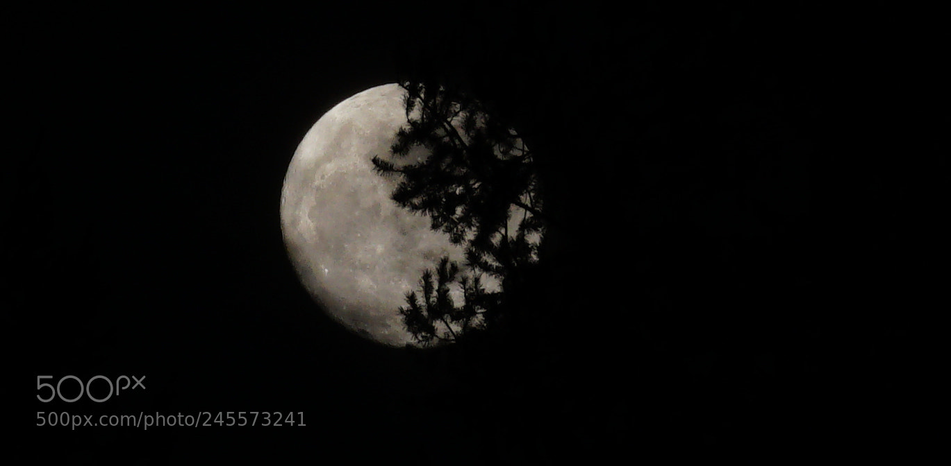 Sony a7R II sample photo. The second full moon photography