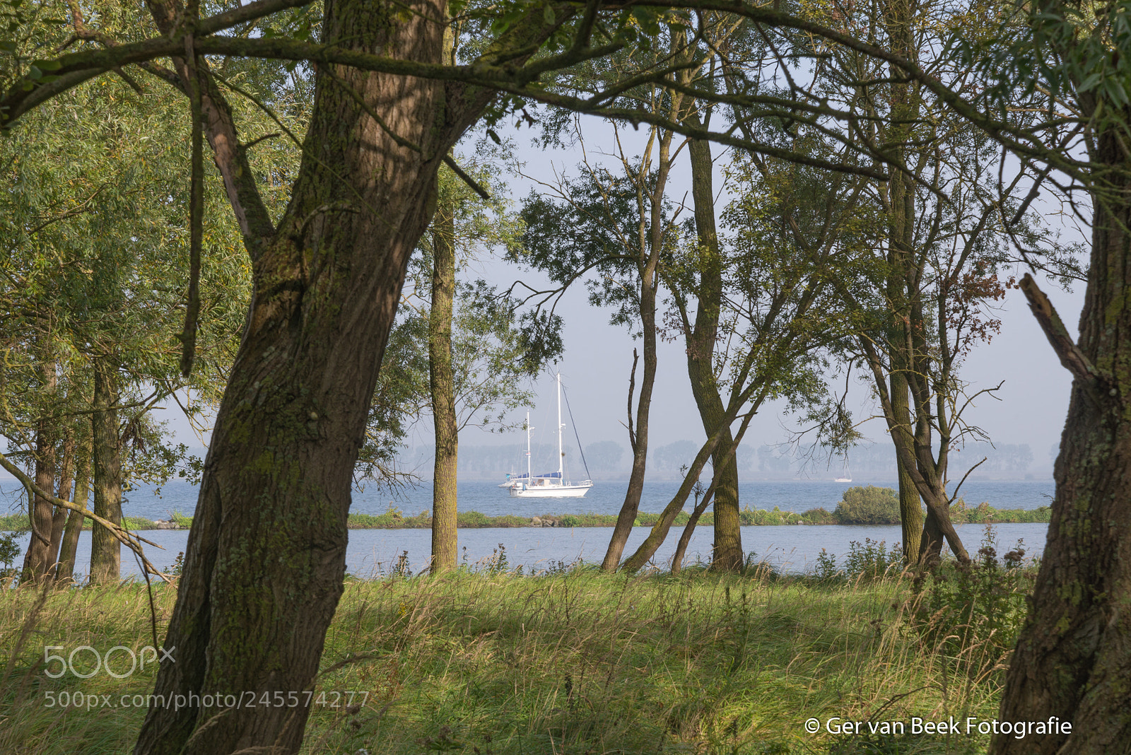 Nikon D610 sample photo. Volkerak photography