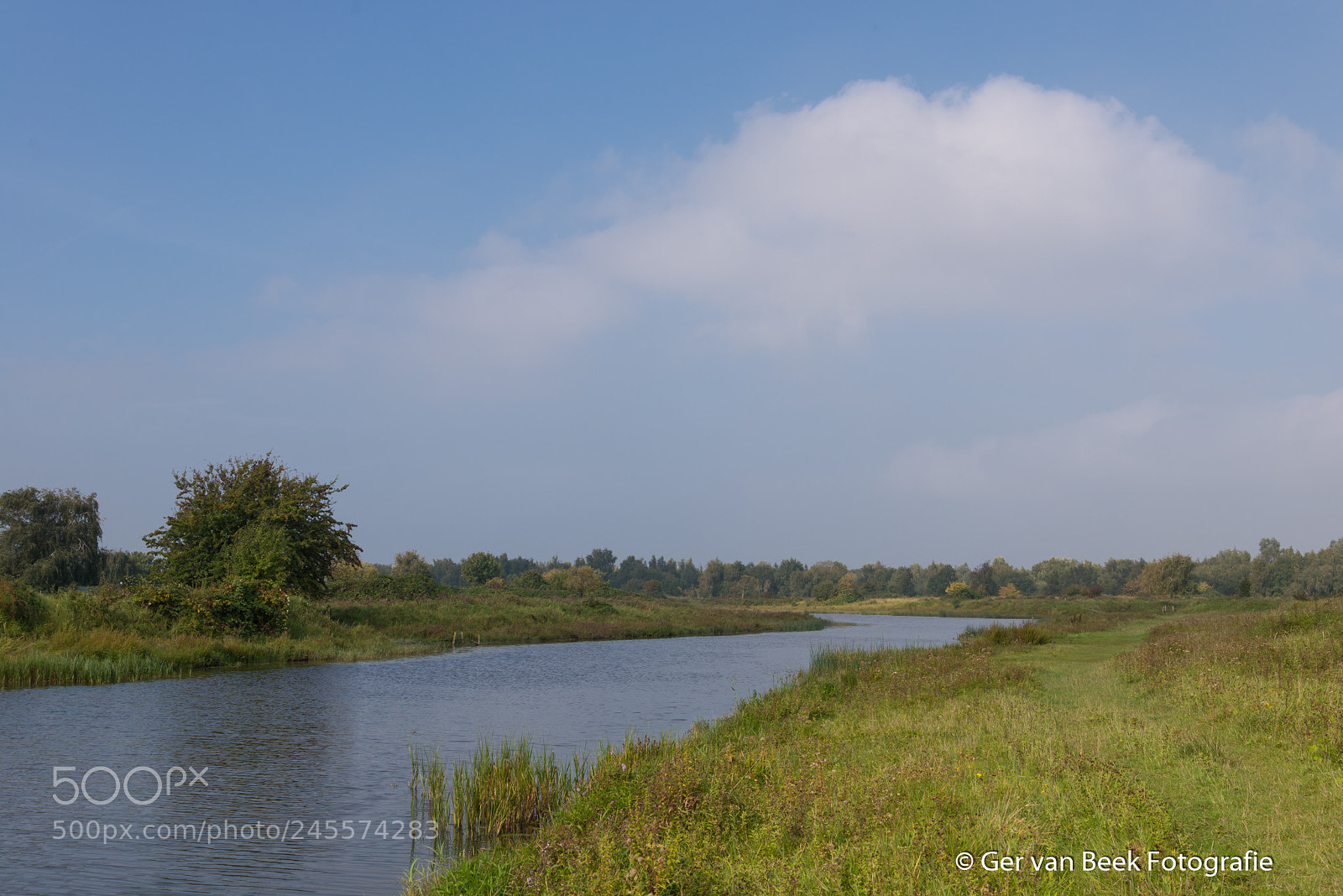 Nikon D610 sample photo. Steenbersche vliet photography