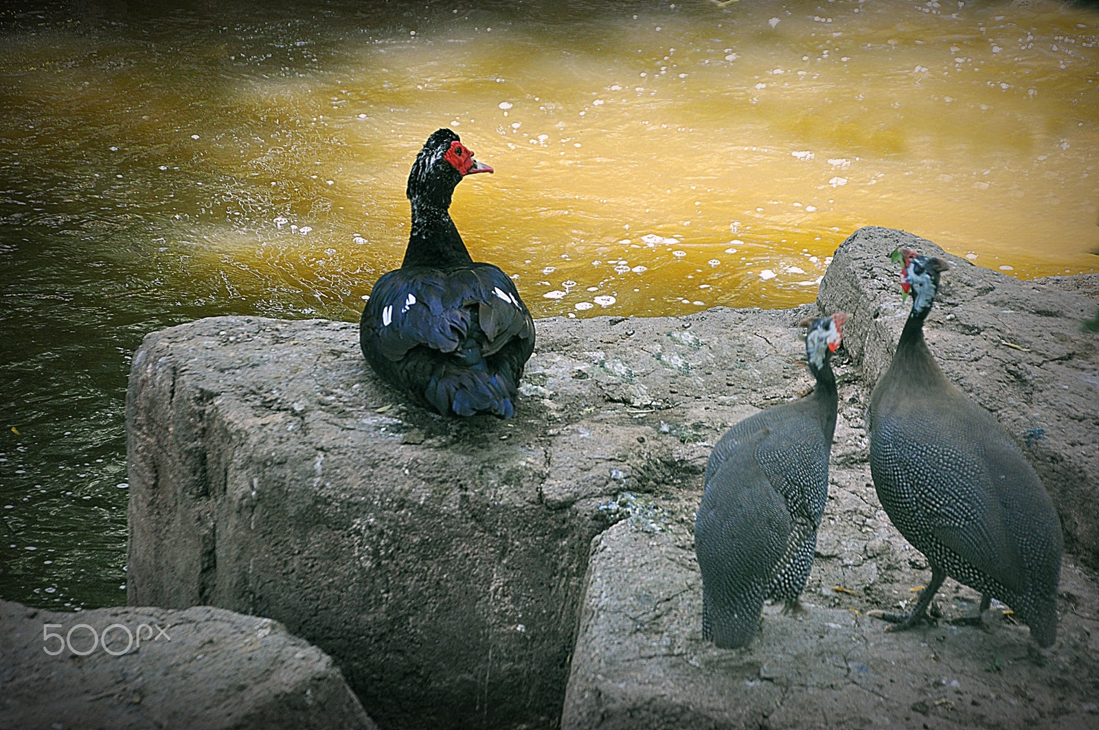 Nikon D5000 sample photo. ** photography