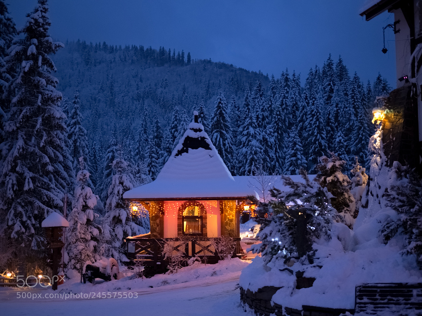 Olympus OM-D E-M10 II sample photo. Winter magic photography