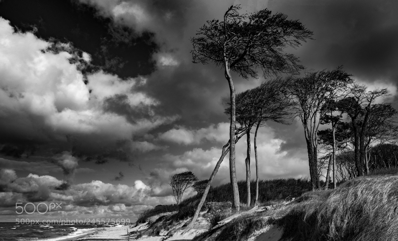 Canon EOS 77D (EOS 9000D / EOS 770D) sample photo. West beach prerow photography