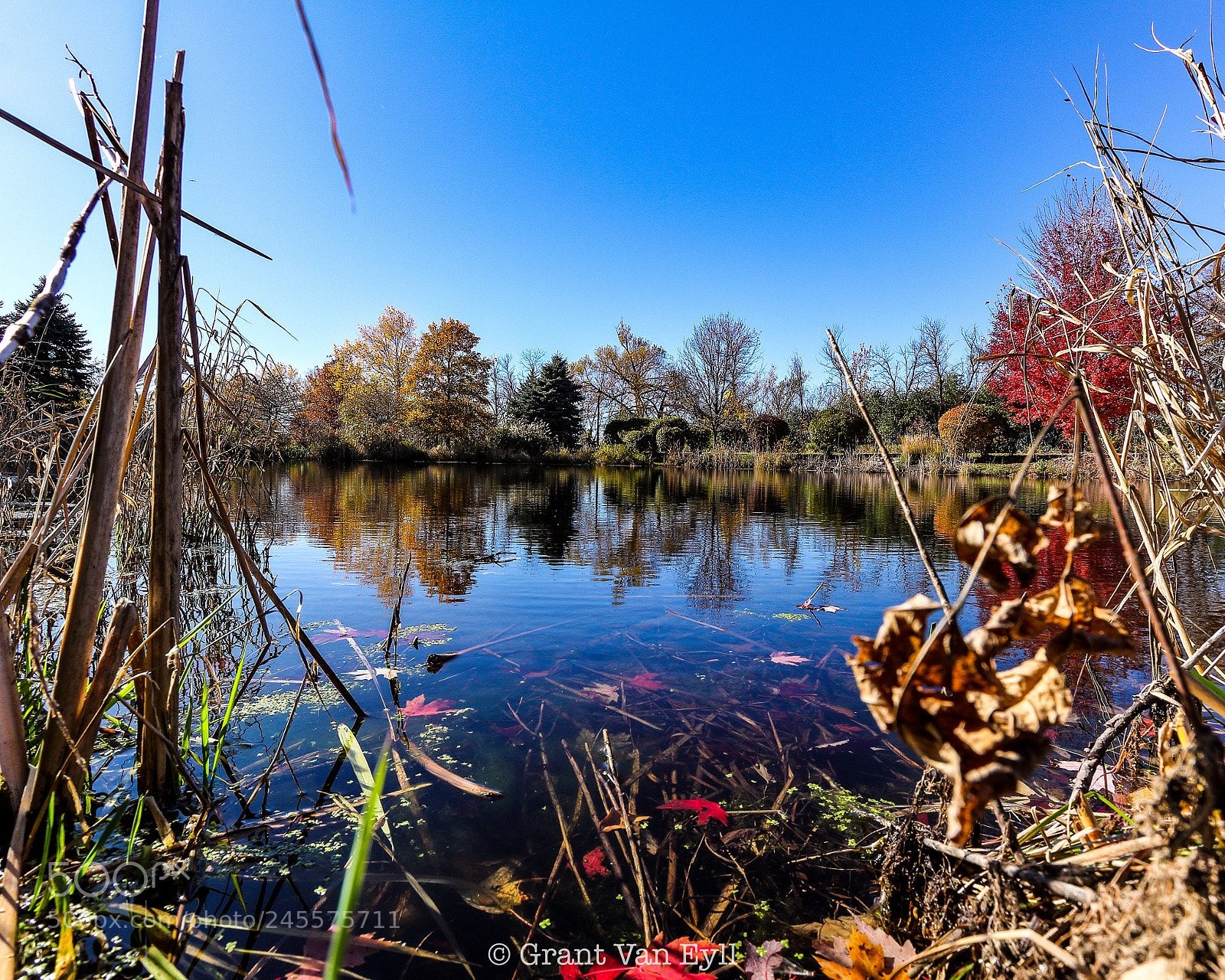Canon EOS 60D sample photo. W i d e photography