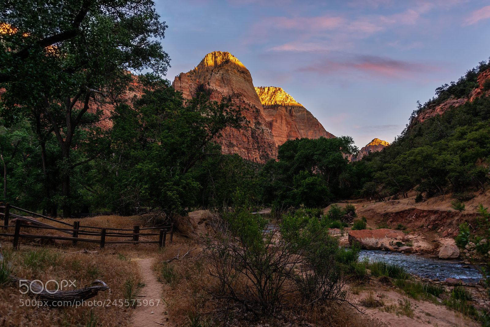 Nikon D800 sample photo. Zion afterglow photography