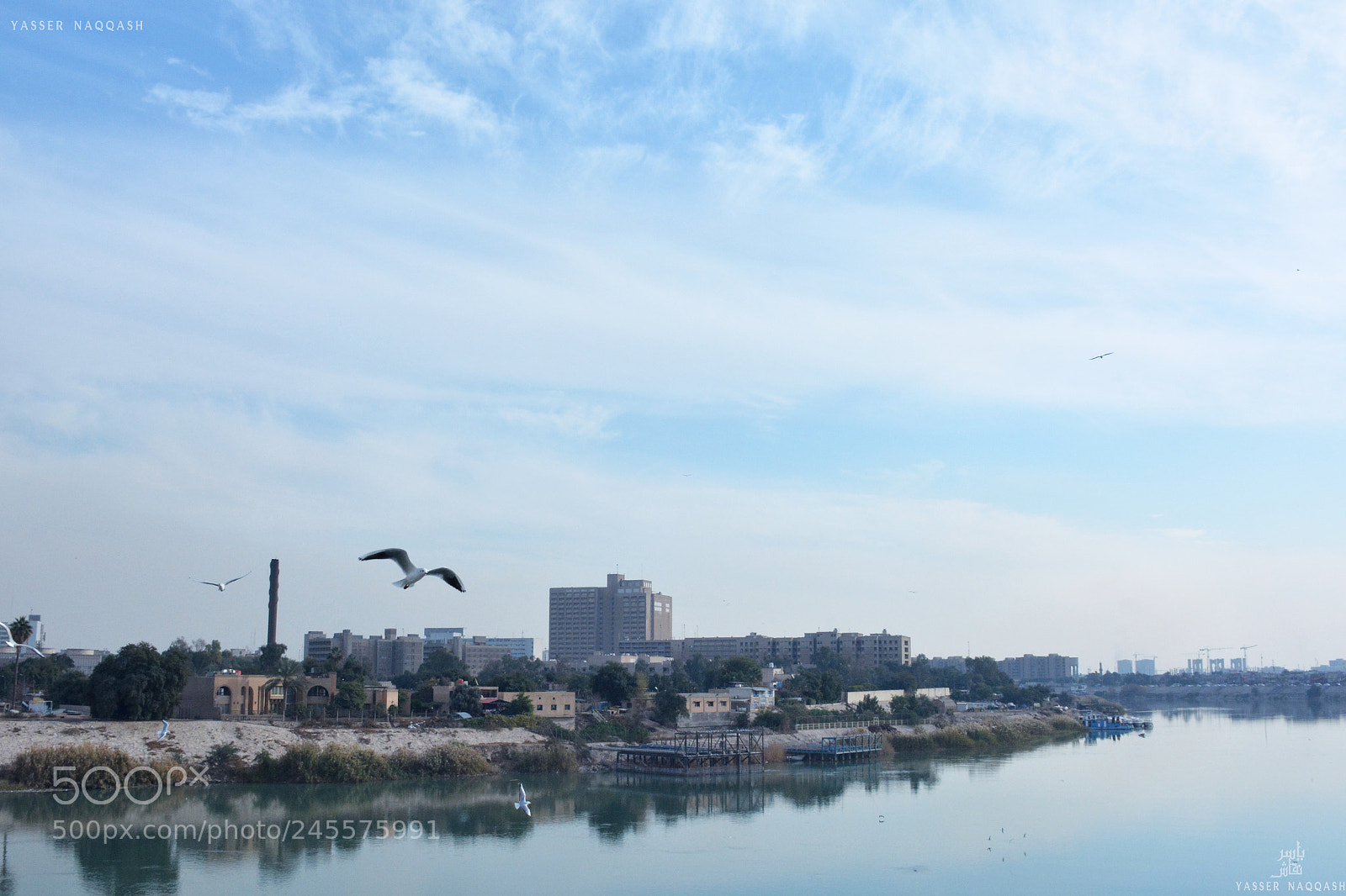 Nikon D7100 sample photo. Blue photography