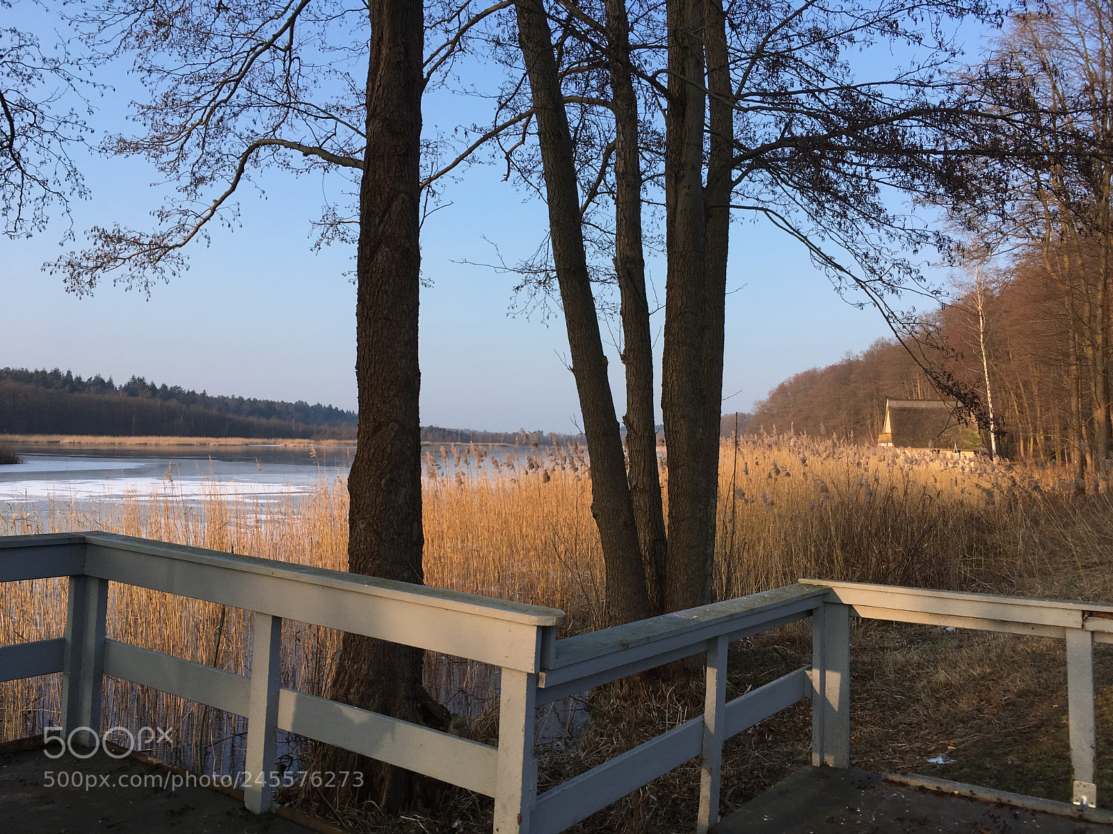 Apple iPhone SE sample photo. By the lake photography