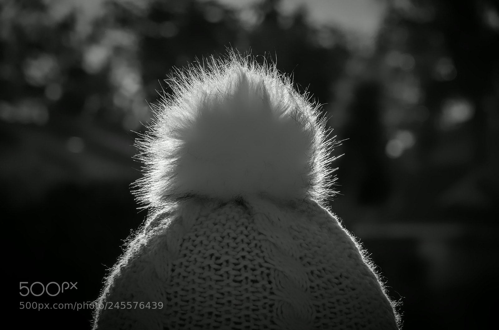 Pentax K-50 sample photo. Pom pom photography