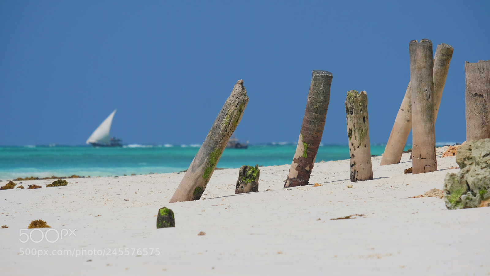 Fujifilm X-T2 sample photo. Zanzibar photography