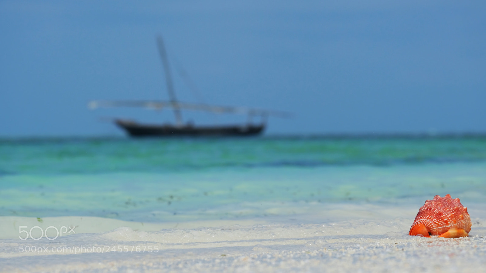 Fujifilm X-T2 sample photo. Zanzibar photography