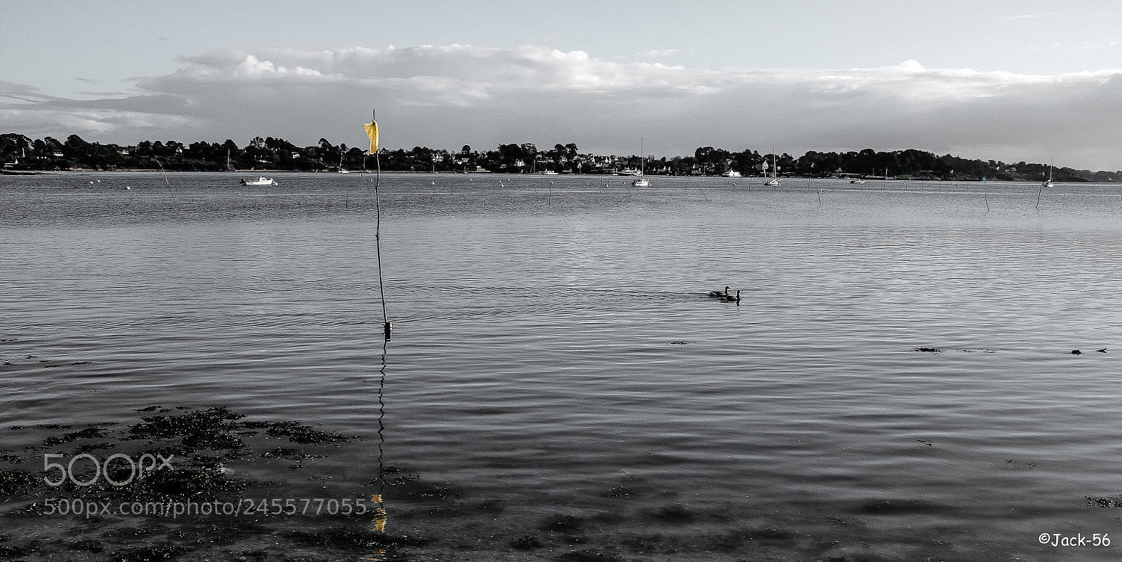 Fujifilm X100T sample photo. L'île aux moines photography
