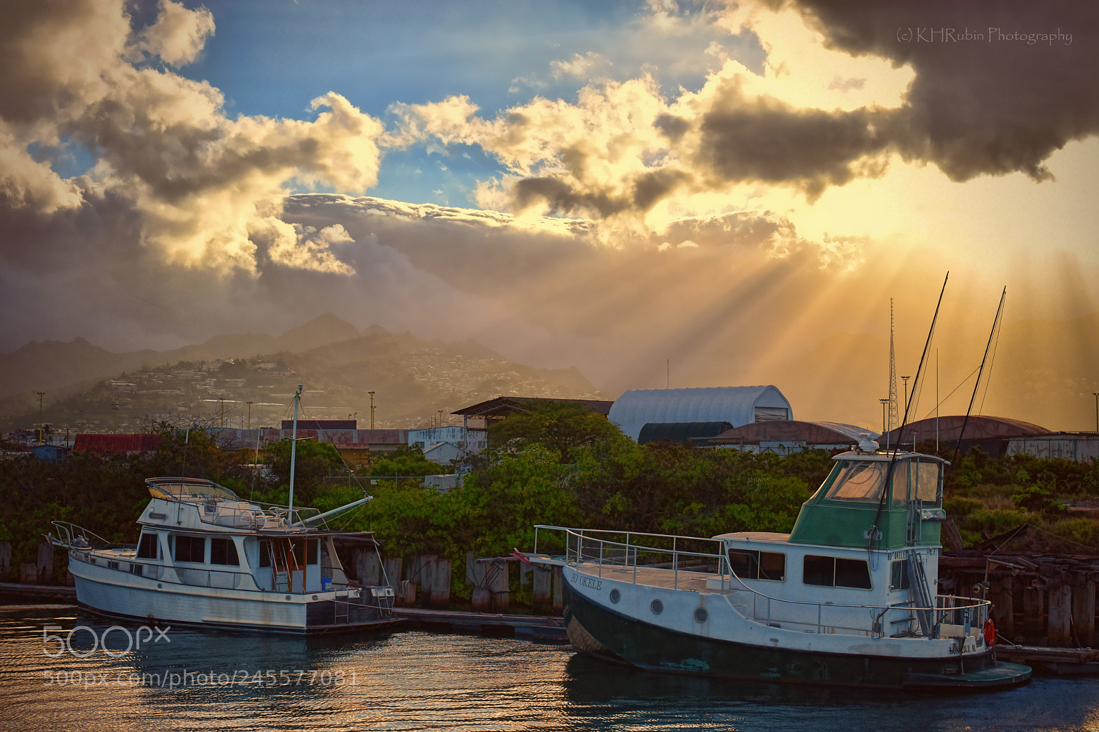 Nikon D5500 sample photo. Golden morning2 photography