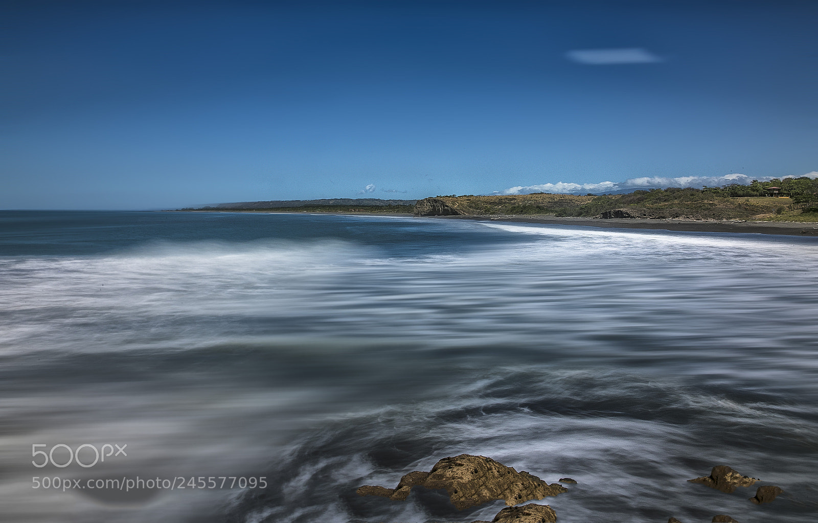 Canon EOS-1D X Mark II sample photo. Guacalillo, costa rica photography