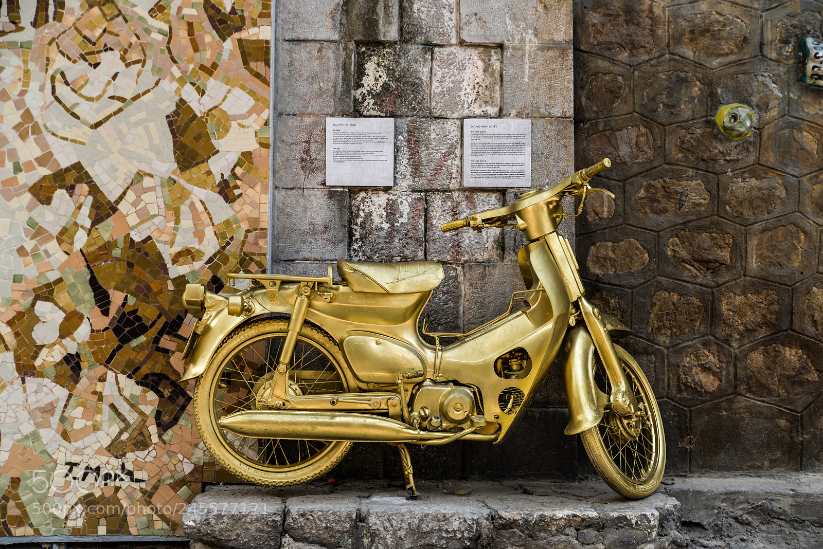 Nikon D600 sample photo. Super cub photography