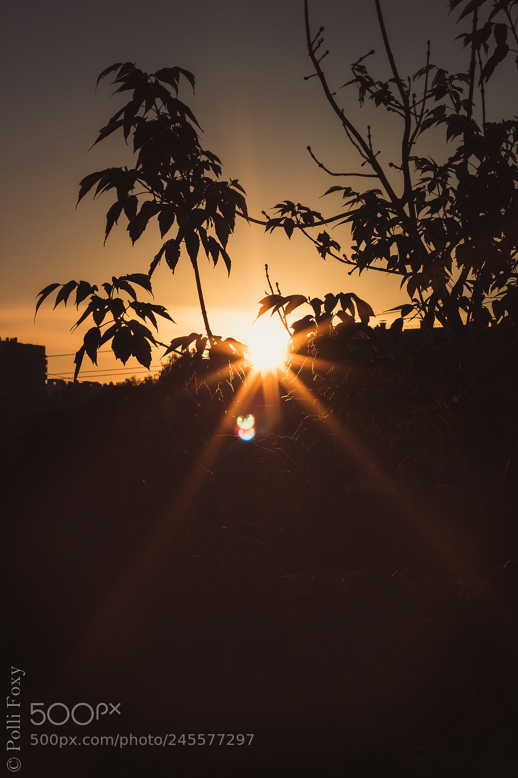 Canon EOS 600D (Rebel EOS T3i / EOS Kiss X5) sample photo. Sunrise photography