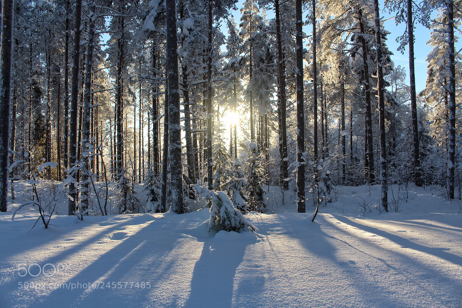 Canon EOS 700D (EOS Rebel T5i / EOS Kiss X7i) sample photo. Sun and -25c kuusamo photography