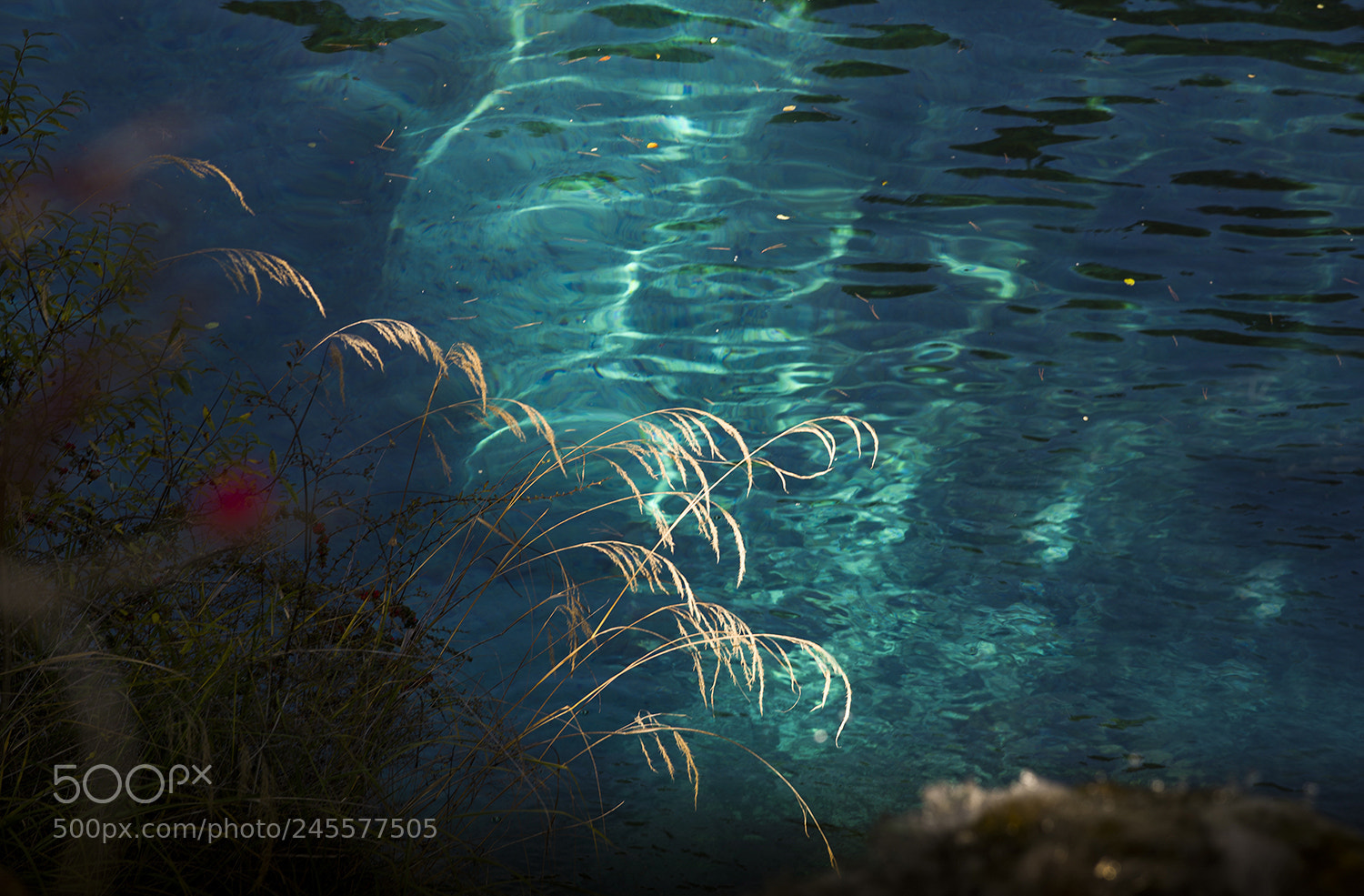 Nikon D600 sample photo. Water's edge photography