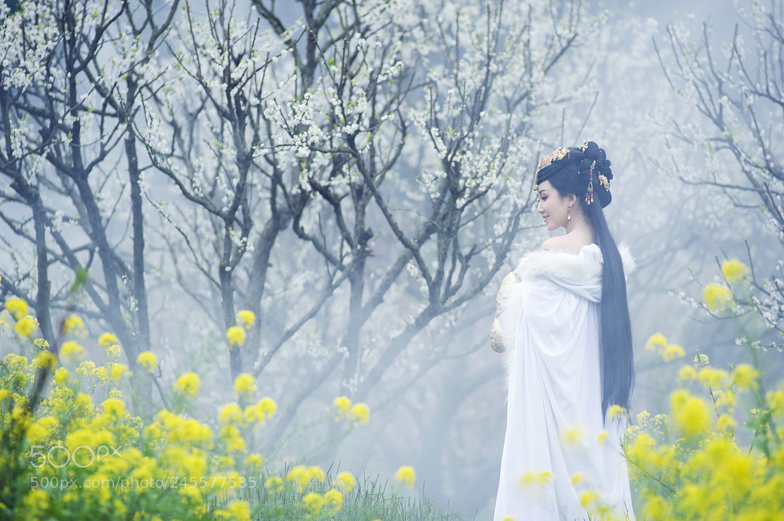 Nikon D700 sample photo. 春天里2 in the spring photography