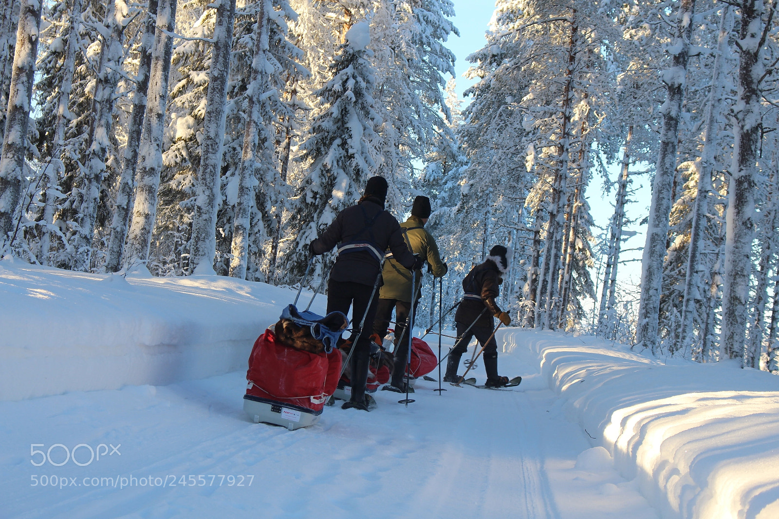 Canon EOS 700D (EOS Rebel T5i / EOS Kiss X7i) sample photo. Wilderness tour by skies photography