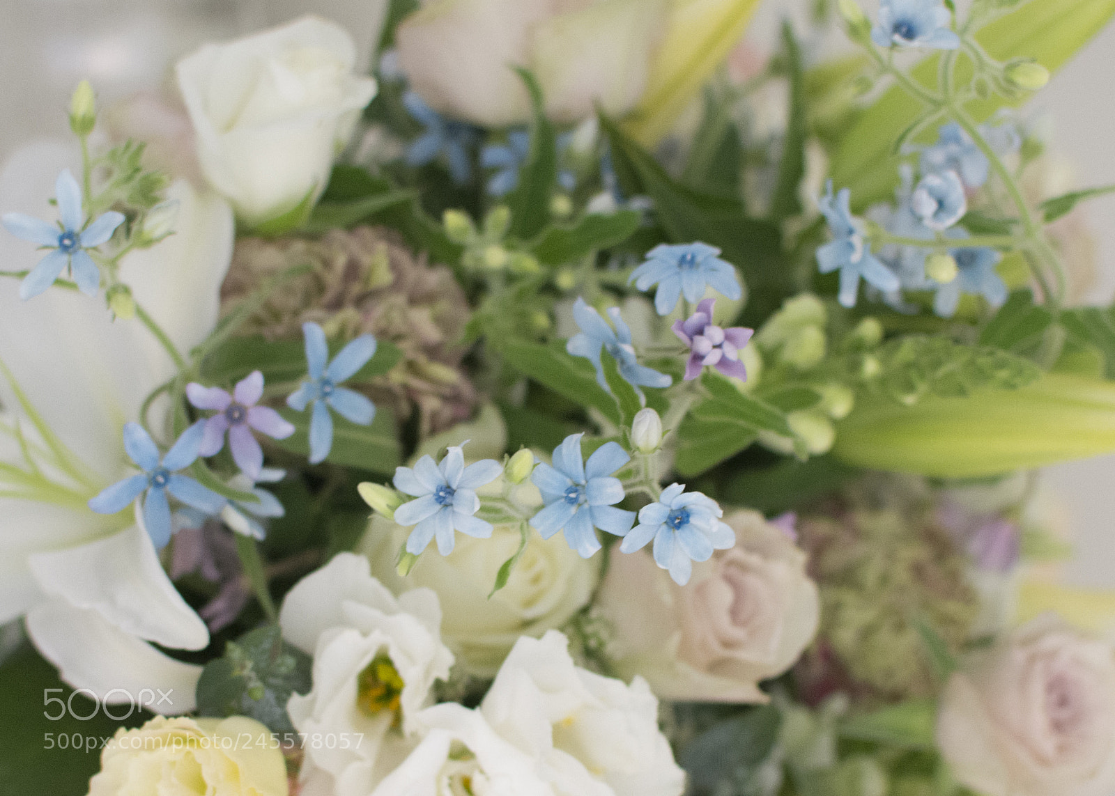 Nikon D7100 sample photo. Delightful tweedia photography