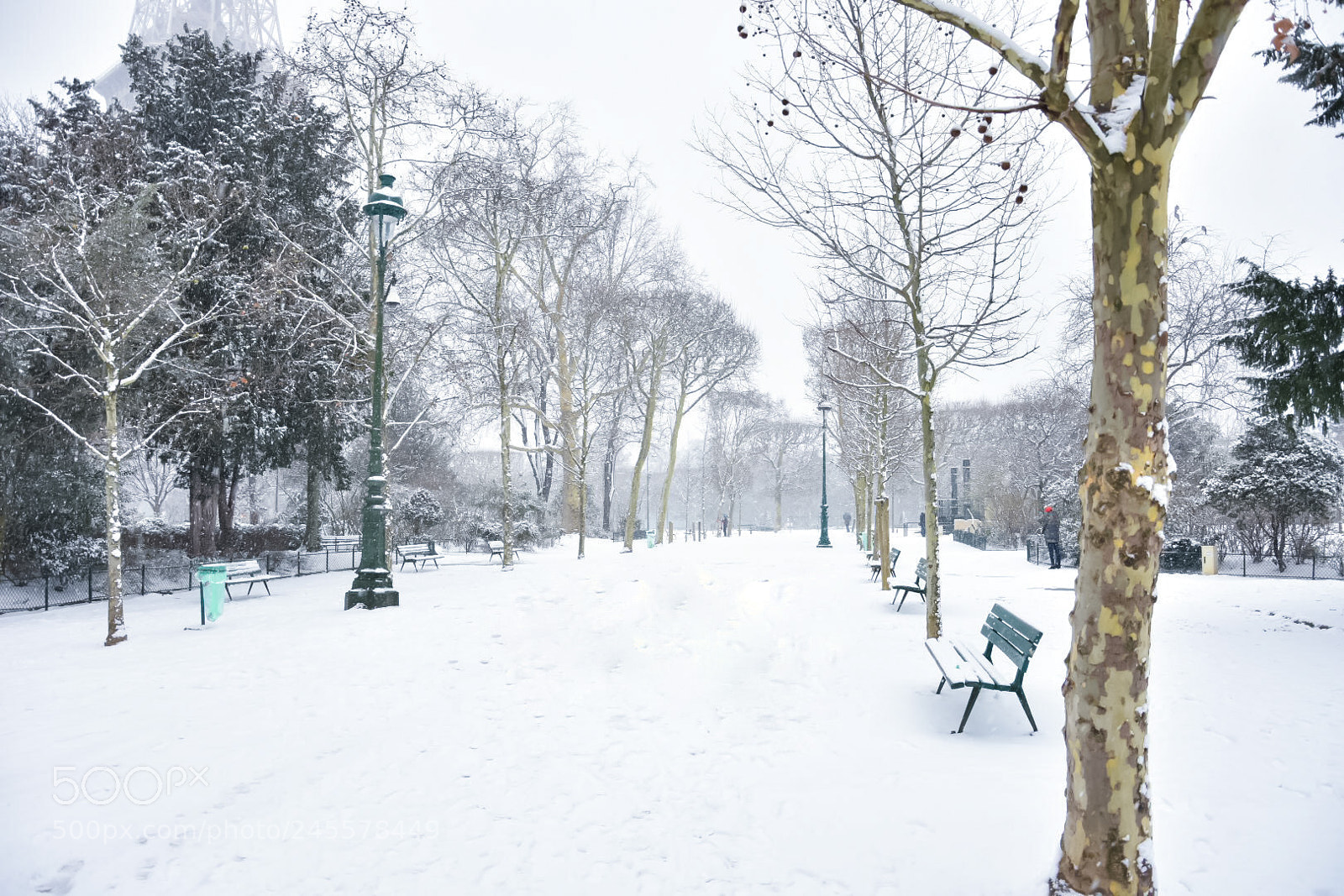 Nikon D7200 sample photo. Snow in paris photography