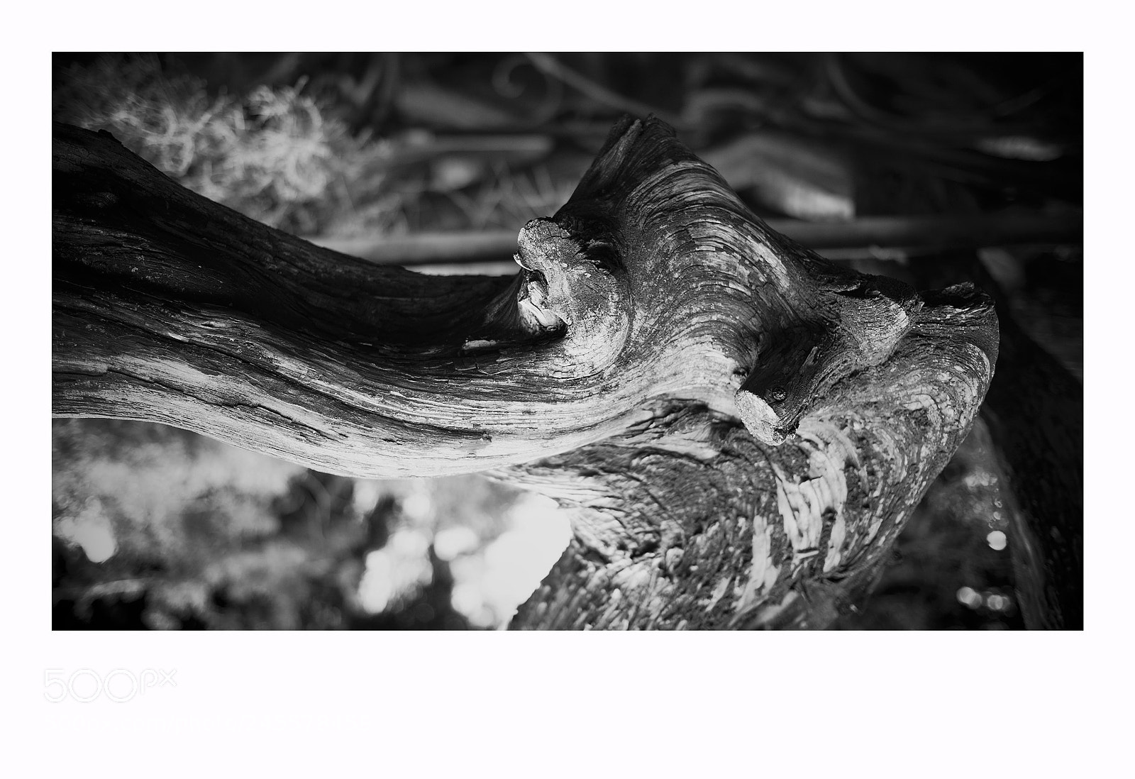 Fujifilm X-T1 sample photo. Lisbon photography