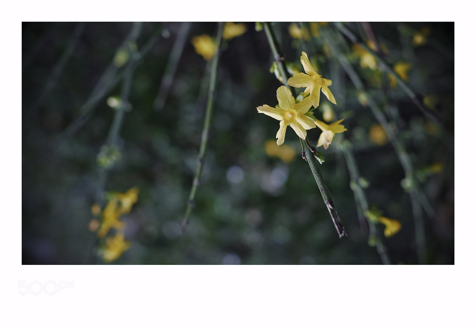 Fujifilm X-T1 sample photo. Lisbon photography
