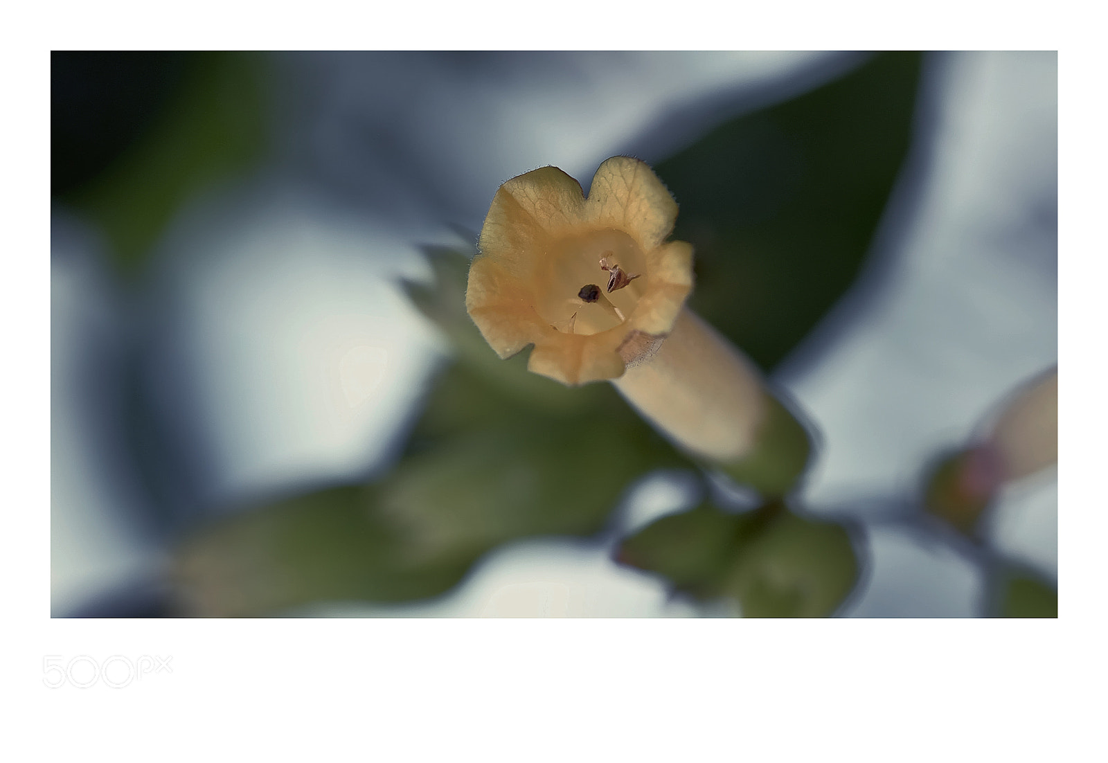 Fujifilm X-T1 sample photo. Lisbon photography