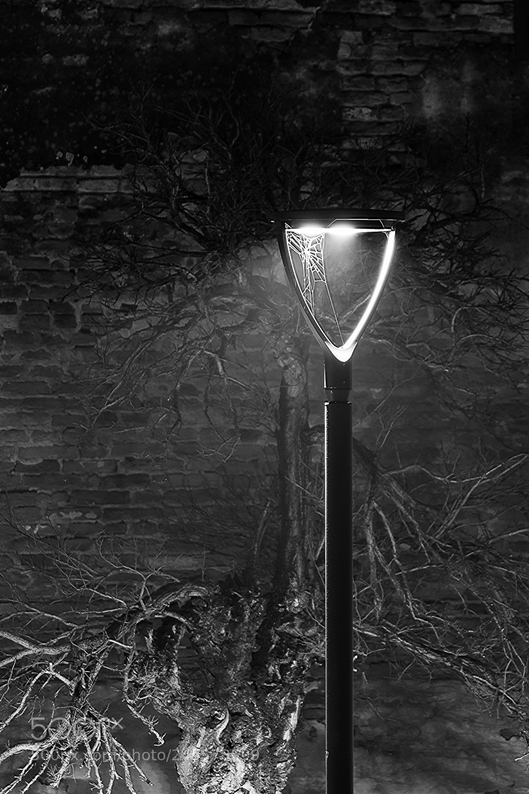 Nikon D810 sample photo. Street lamp photography