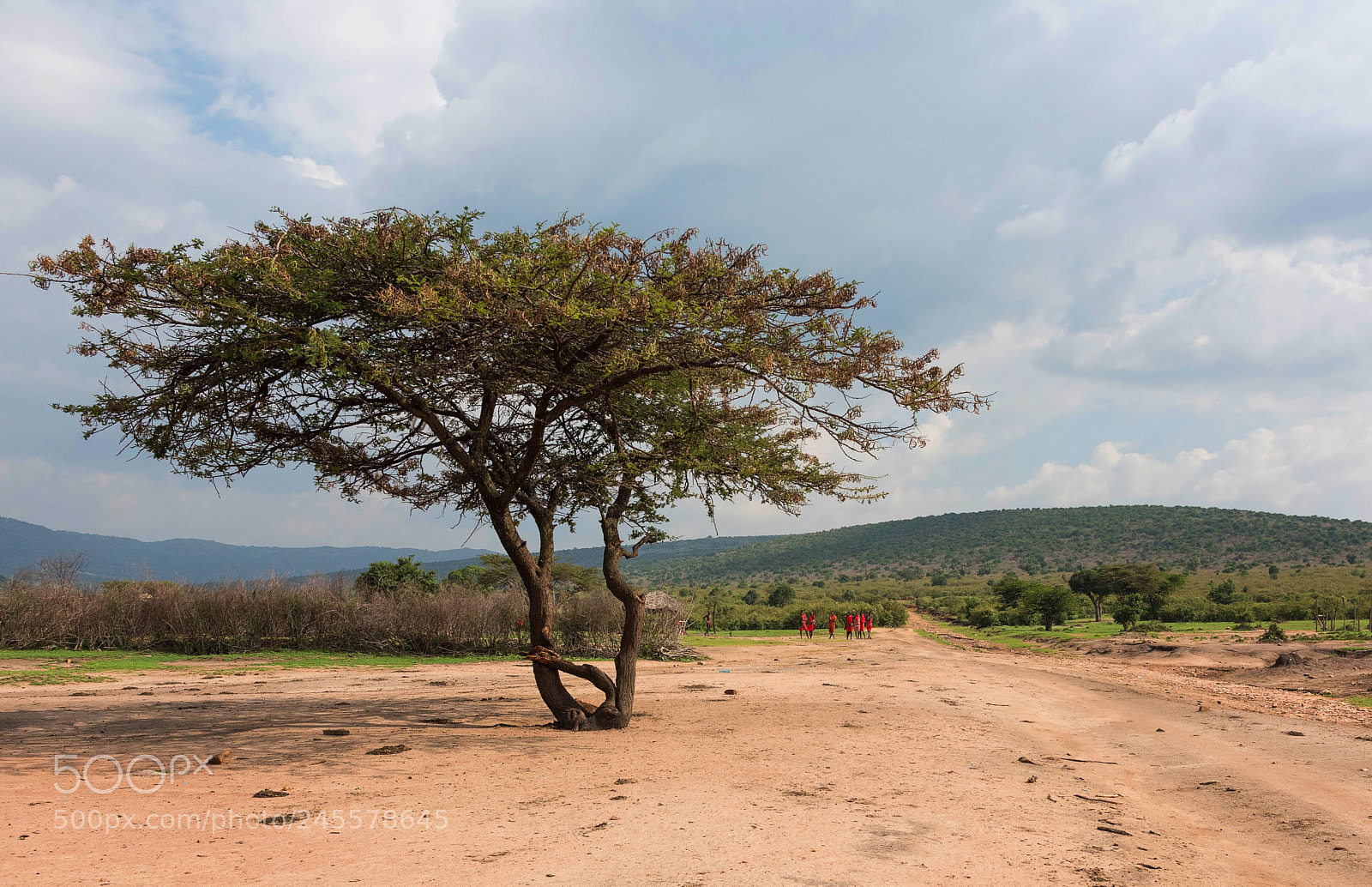 Nikon D810 sample photo. Masai land photography
