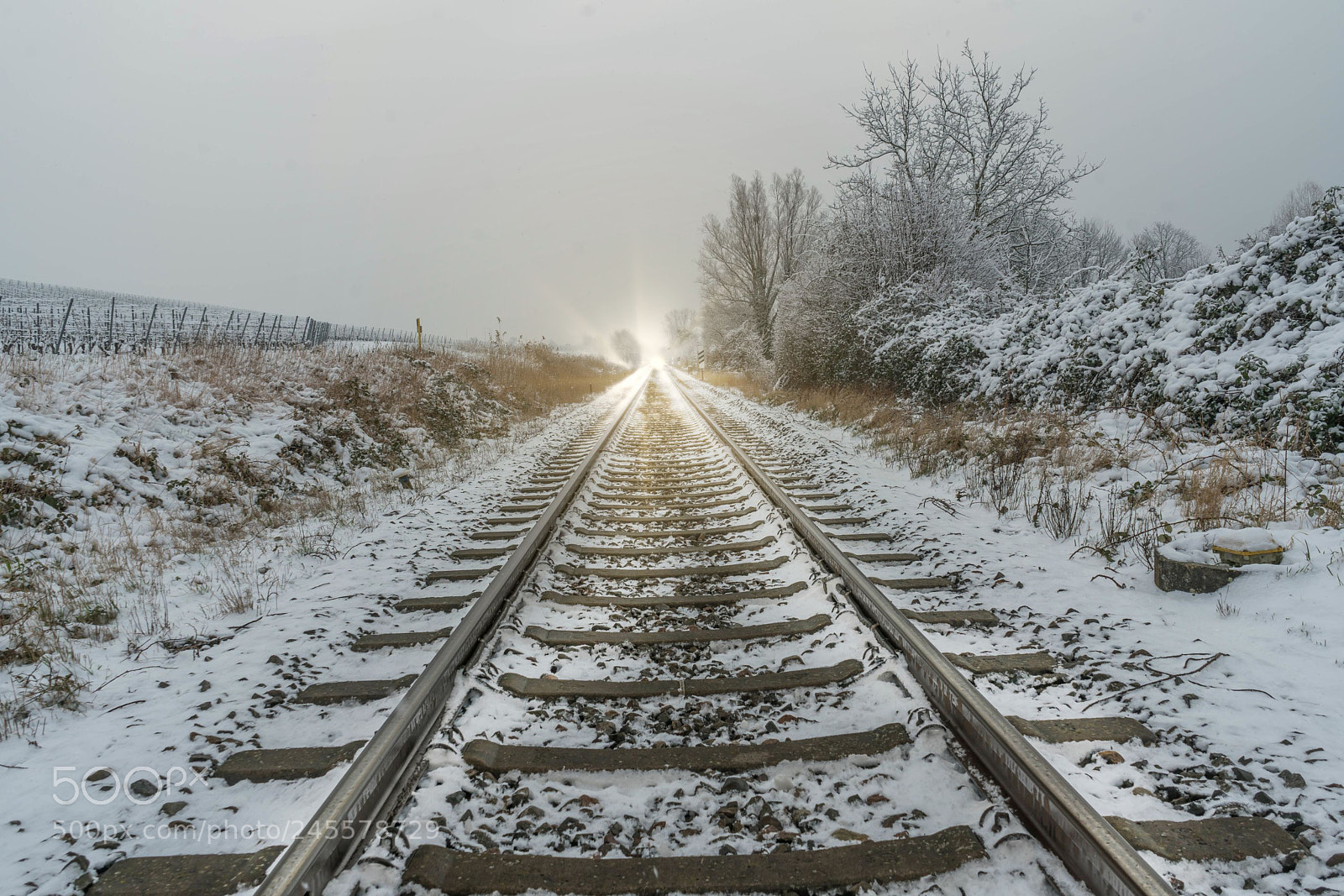 Sony a7R II sample photo. Attention, the train is photography