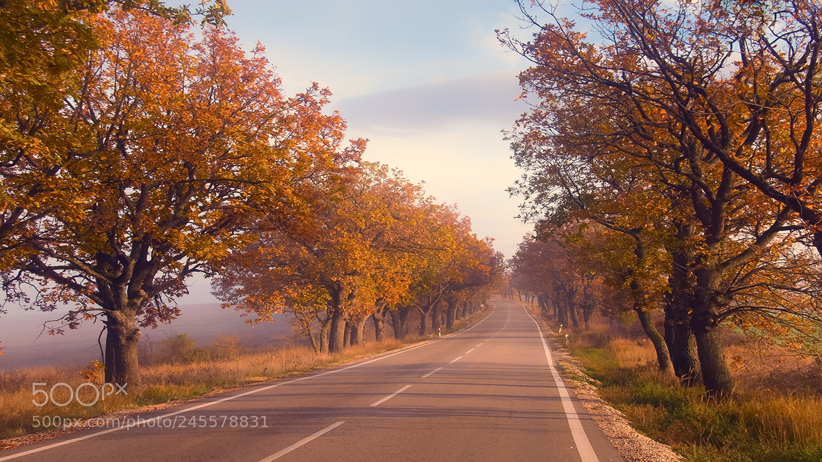 Olympus PEN E-PL1 sample photo. Autumn road photography