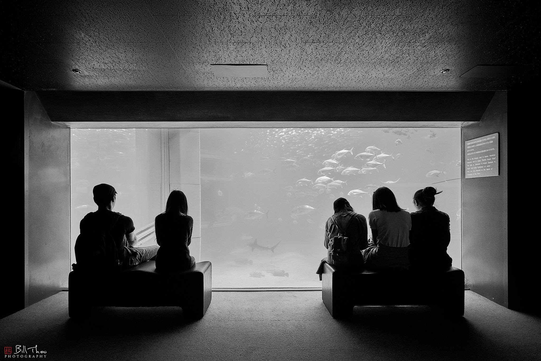 ZEISS Batis 18mm F2.8 sample photo. Kaiyukan photography
