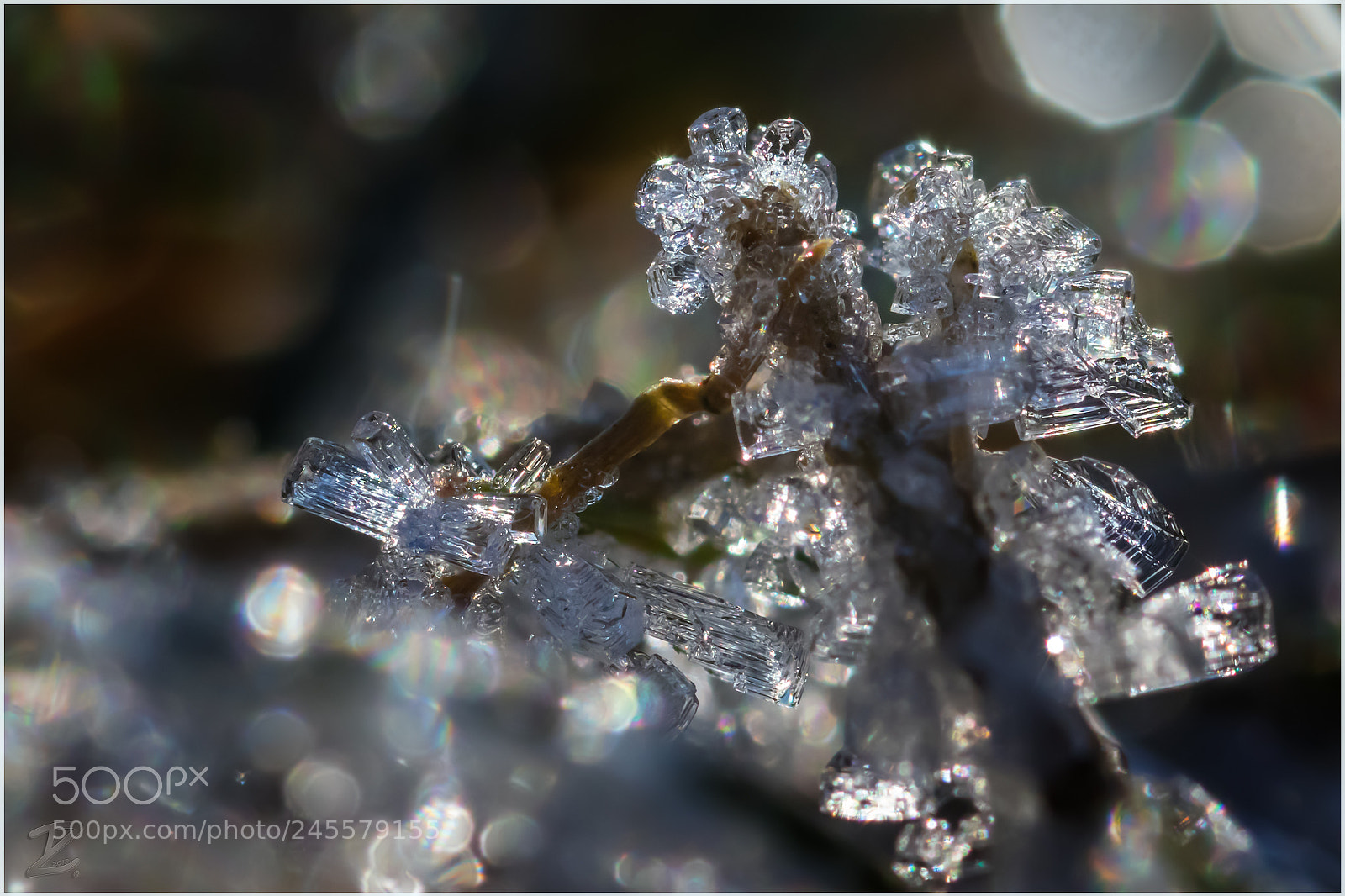 Canon EOS 7D Mark II sample photo. Kleine eiswelt - little photography