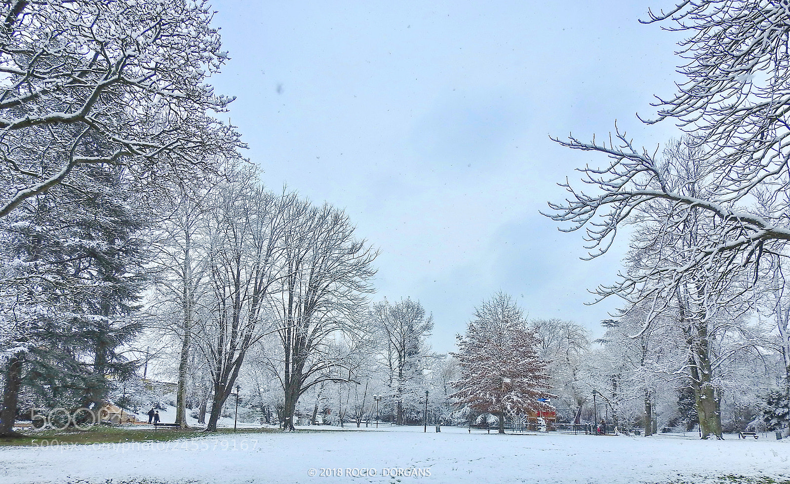 Nikon Coolpix P900 sample photo. Snow photography
