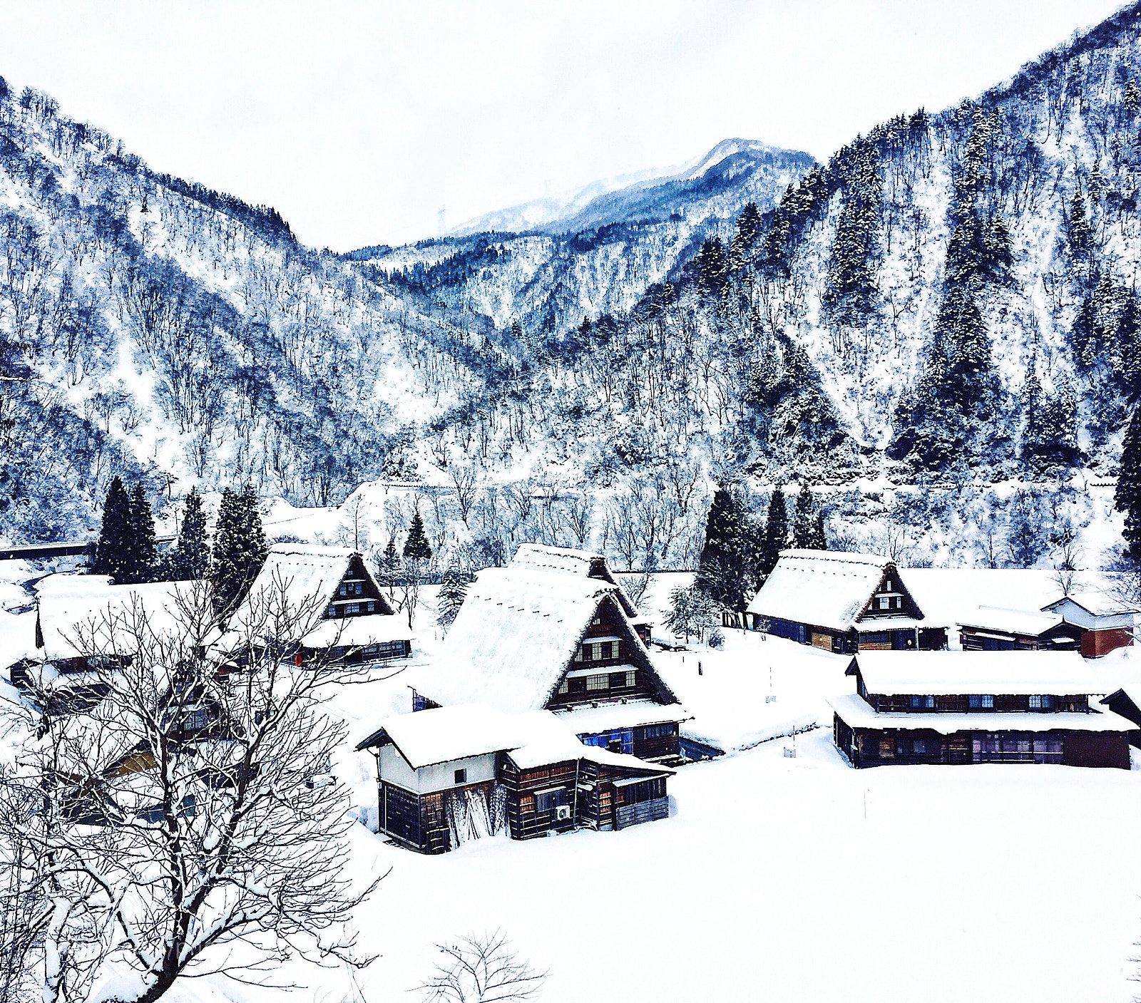 Apple iPhone 6 sample photo. 菅沼 japan winter photography
