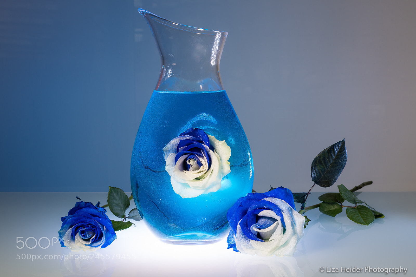 Nikon D850 sample photo. Holland roses by liza photography