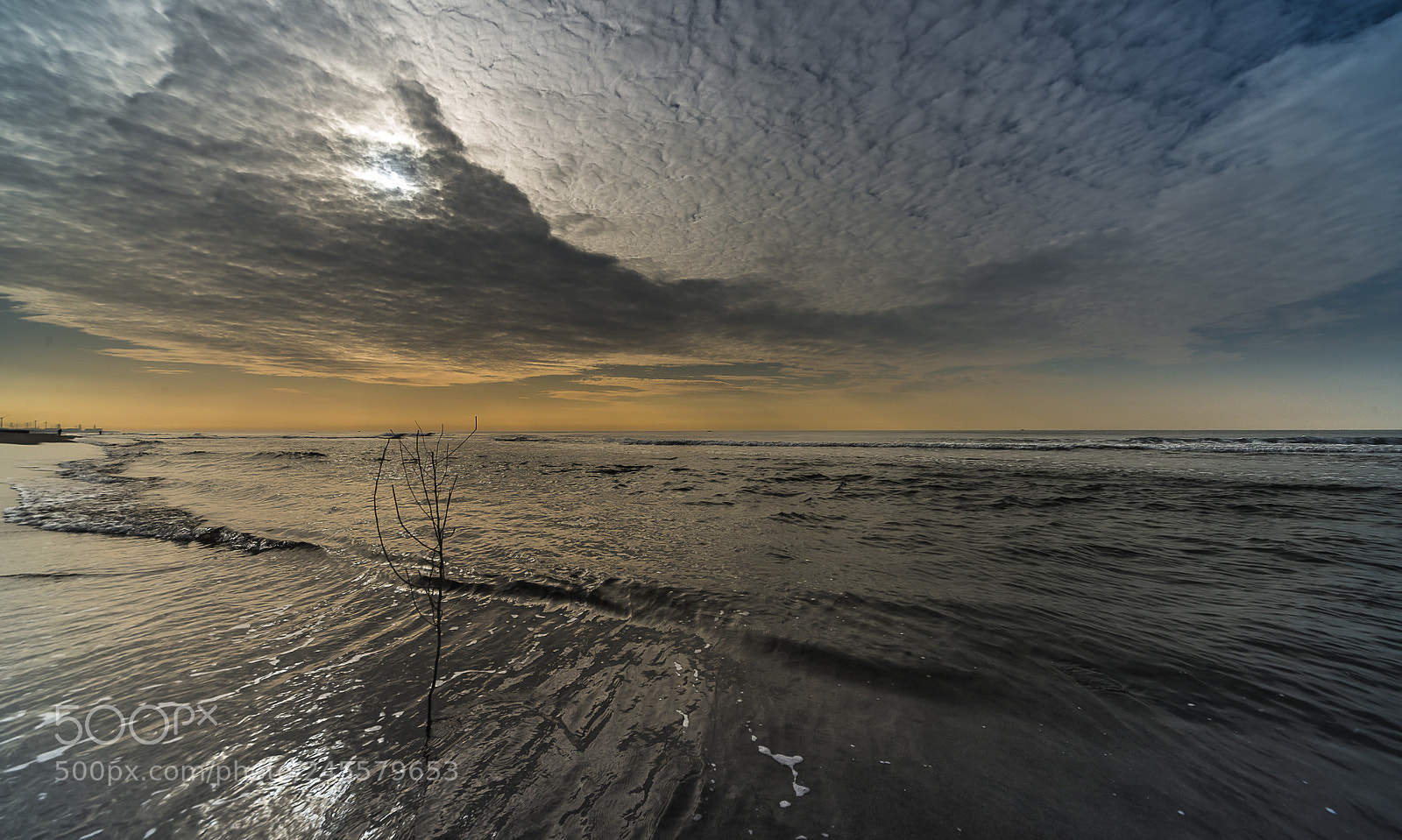 Nikon D800 sample photo. Morning sunshine photography