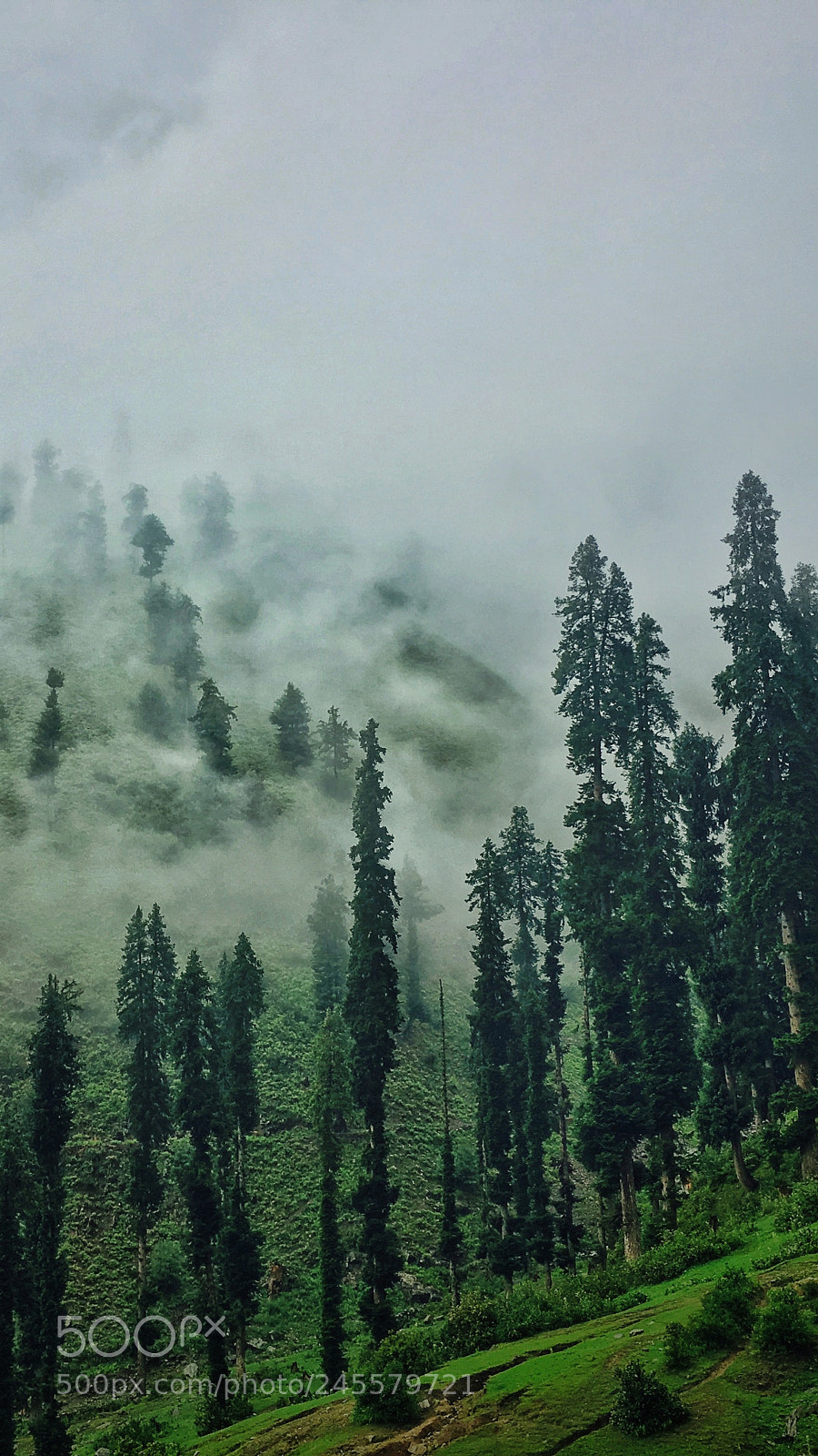 Apple iPhone 6s sample photo. Cloudy mornings photography