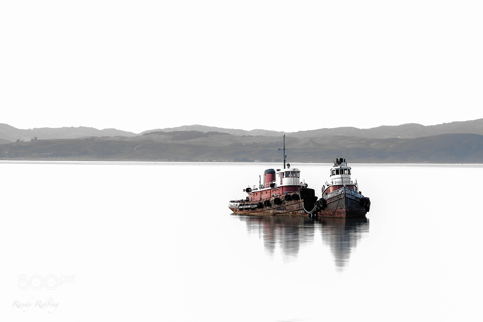 Nikon D850 sample photo. Tugs in the mud photography