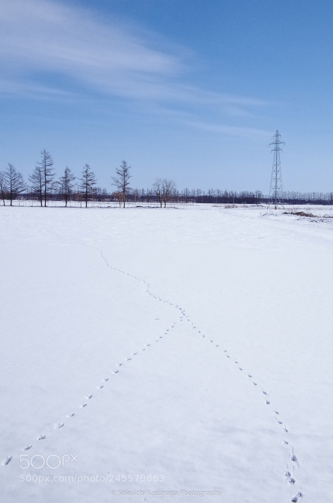 Pentax K-30 sample photo. Footprints way photography